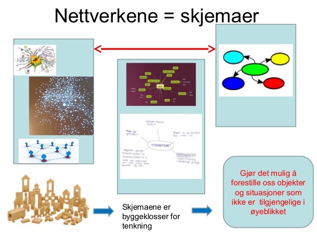 Kognitivt perspektiv