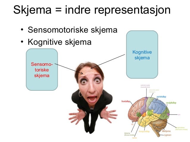 Kognitivt perspektiv