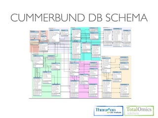 CUMMERBUND DB SCHEMA
 