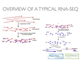 OVERVIEW OF A TYPICAL RNA-SEQ
 