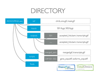 DIRECTORY
/KOGO/RNA-seq       ref                 chr.fa, ens.gtf, mask.gtf


                  inputs                  S01.fq.gz, S02.fq.gz


                 outputs       S01          accepted_hits.bam, transcripts.gtf

                               ......       accepted_hits.bam, transcripts.gtf



                           merged_asm            merged.gtf, transcripts.gtf
                scripts
                           Diff-S01-S02      gene_exp.diff, isoforms_exp.diff

                Tools
 