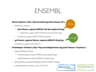 ENSEMBL
•   Homo Sapiens ( ftp://ftp.ensembl.org/pub/release-69 )
    •   fasta/homo_sapiens/
                                                                         chr.fa
        •   dna/Homo_sapiens.GRCh37.69.dna.toplevel.fa.gz
            •   dna/Homo_sapiens.GRCh37.69.dna.chromosome.1.fa.gz
        •   cdna/Homo_sapiens.GRCh37.69.cdna.all.fa.gz
                                                                           ens.gtf
    •   gtf/homo_sapiens/Homo_sapiens.GRCh37.69.gtf.gz
    •   mysql/homo_sapiens_core_69_37/
•   Arabidopsis thaliana ( ftp://ftp.ensemblgenomes.org/pub/release-16/plants )
    •   fasta/arabidopsis_thaliana
        •   dna/Arabidopsis_thaliana.TAIR10.16.dna.toplevel.fa.gz
        •   cdna/Arabidopsis_thaliana.TAIR10.16.cdna.all.fa.gz
    •   gtf/arabidopsis_thaliana/Arabidopsis_thaliana.TAIR10.16.gtf.gz
    •   mysql/arabidopsis_thaliana_core_16_69_10/
 