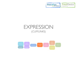 EXPRESSION
                      (CUFFLINKS)


                                                               DEG
             Read                                             analysis
Filtering                           Expression     Gene
            Mapping                                                       Report
                      Duplication     Level      Structure
FastQC      RSeQC                                            Annotation
 