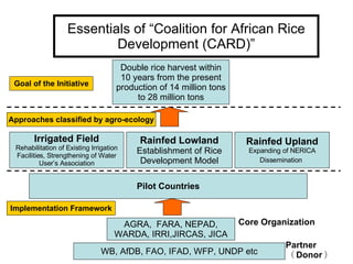 Development Cooperation Between Asia and Africa - Contribution toward a ...