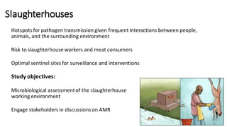 Welcome to the Kenya One Health Conference