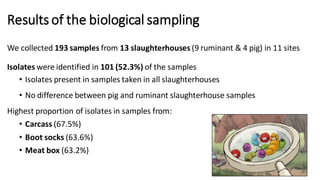AntimicrobialSusceptibility Tests done on 98 isolates (21 pig and 77 ruminant)
Highest frequency of resistance:
- Streptom...