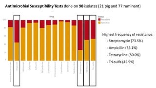 Welcome to the Kenya One Health Conference