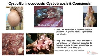 Welcome to the Kenya One Health Conference