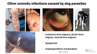 Welcome to the Kenya One Health Conference