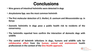 Welcome to the Kenya One Health Conference