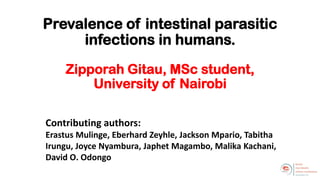 Welcome to the Kenya One Health Conference