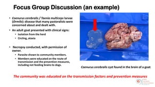 Welcome to the Kenya One Health Conference