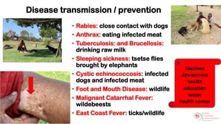 Welcome to the Kenya One Health Conference