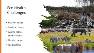 Welcome to the Kenya One Health Conference