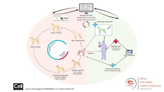 Introduction
Current Rabies situation
❑Poor surveillance and limited resources
❑World Health Organization target to elimin...