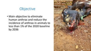 The Strategic Framework
• Guiding principles
• Anthrax prevention and control:
• Requires a multi-sectoral & multi-discipl...