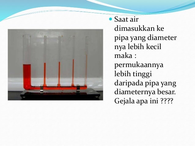 Kohesi Dan Adhesi Kohesi – adhesi dan kapilaritas