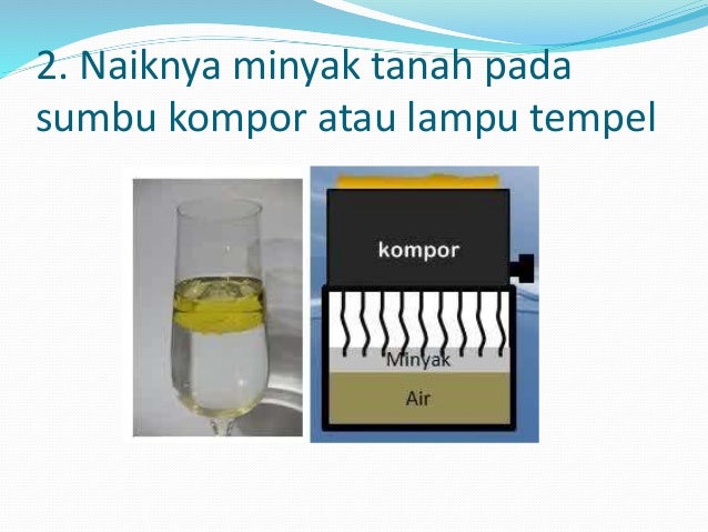 Kohesi Dan Adhesi Kohesi – adhesi dan kapilaritas