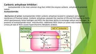 Carbonic anhydrase Inhibitor:
Acetazolamide is the most common drug that inhibit the enzyme carbonic anhydrase in proximal
tubule.
Acetazolamide:
Mechanism of action: Acetazolamide inhibit carbonic anhydrase located in cytoplasm and atypical
membrane of Proximal tubule .Carbonic anhydrase catalyses the reaction of CO2 and H2O leading to H2CO3
which spontaneously ionise hydrogen and HCO3 the decrease ability to exchange sodium and hydrogen .In
presence of acetazolamide result mild diuretics .Additional HCO3 retain un lumen with marked elevation in
urinary ph lose of HCO3 causes hyperchloremic Metabolic acidosis.
 
