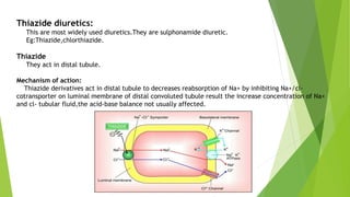 Thiazide diuretics:
This are most widely used diuretics.They are sulphonamide diuretic.
Eg:Thiazide,chlorthiazide.
Thiazide
They act in distal tubule.
Mechanism of action:
Thiazide derivatives act in distal tubule to decreases reabsorption of Na+ by inhibiting Na+/cl-
cotransporter on luminal membrane of distal convoluted tubule result the increase concentration of Na+
and cl- tubular fluid,the acid-base balance not usually affected.
 