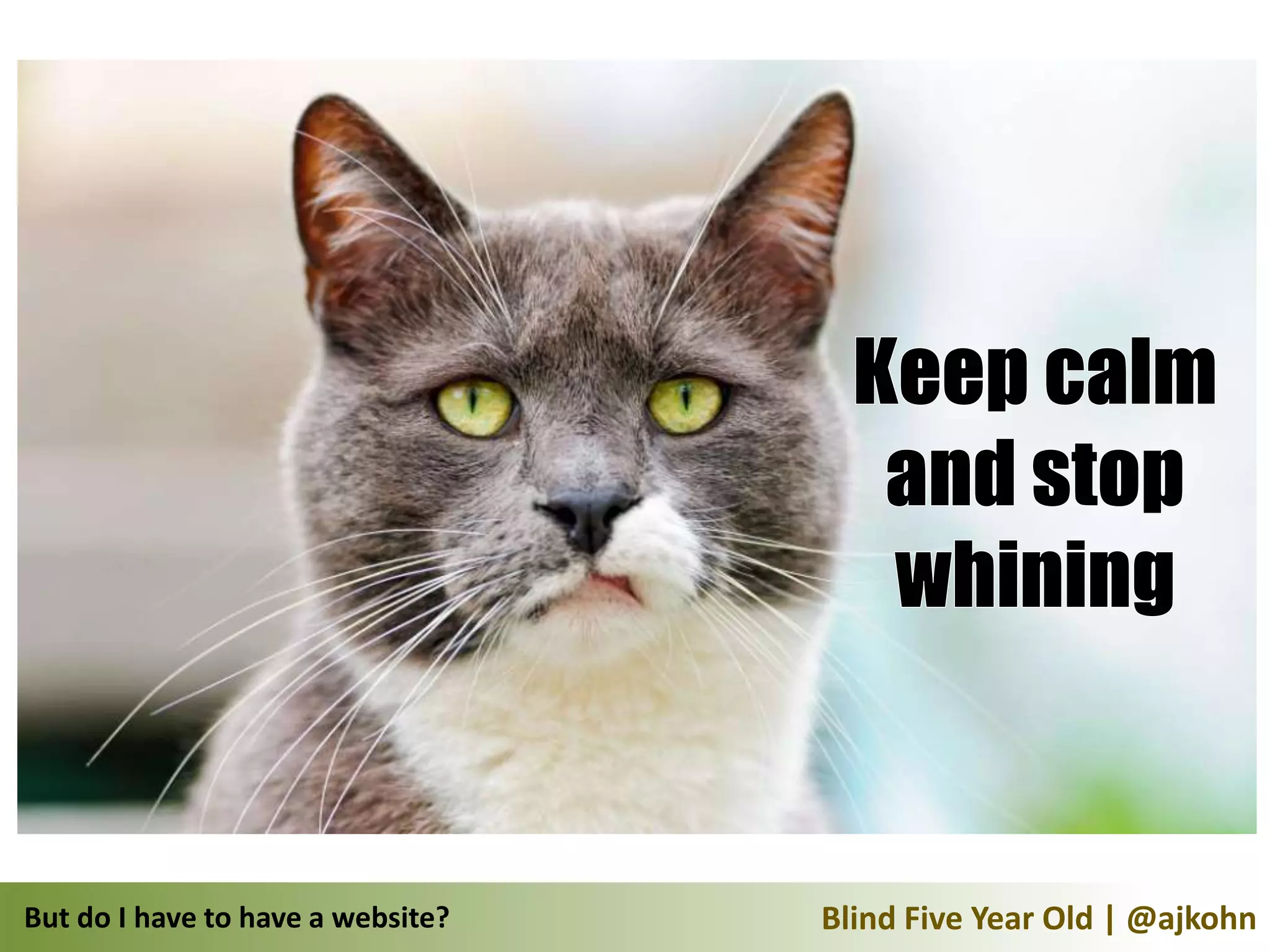 But do I have to have a website?   Blind Five Year Old | @ajkohn
 