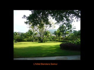 L'hôtel Bandara Samui 