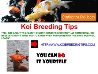 Koi Breeding Tips
“YOU ARE ABOUT TO LEARN THE MOST GUARDED SECRETS THAT COMMERCIAL KOI
BREEDERS DON'T WANT YOU TO KNOW.WHEN YOU GO BEHIND THIS PAGE YOU WILL
LEARN”..

                            HTTP://WWW.KOIBREEDINGTIPS.COM


                         You can do
                         it YOURSELF
 