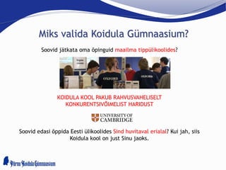 Miks valida Koidula Gümnaasium?
Soovid jätkata oma õpinguid maailma tippülikoolides?
KOIDULA KOOL PAKUB RAHVUSVAHELISELT
KONKURENTSIVÕIMELIST HARIDUST
Soovid edasi õppida Eesti ülikoolides Sind huvitaval erialal? Kui jah, siis
Koidula kool on just Sinu jaoks.
 