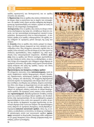 2     ∫√π¡ø¡π∫∂™ √ª∞¢∂™                                         ∫√π¡ø¡π∫∂™ √ª∞¢∂™


ÔÌ¿‰Â˜ ÚˆÙÔÁÂÓÂ›˜ Î·È ‰Â˘ÙÂÚÔÁÂÓÂ›˜ Î·È ÛÂ ÔÌ¿‰Â˜
·ÓÔÈÎÙ¤˜ Î·È ÎÏÂÈÛÙ¤˜.
1. ¶ÚˆÙÔÁÂÓÂ›˜ Â›Ó·È ÔÈ ÔÌ¿‰Â˜ ÛÙÈ˜ ÔÔ›Â˜ ÂÓÙ¿ÛÛÔÓÙ·È ﬁÏ·
Ù· ¿ÙÔÌ·, ﬁˆ˜ Ë ÔÈÎÔÁ¤ÓÂÈ· Î·È ÔÈ ·Ú¤Â˜ ÙˆÓ Û˘ÓÔÌËÏ›-
ÎˆÓ. √È ÔÌ¿‰Â˜ ·˘Ù¤˜ ¤¯Ô˘Ó ÌÂÁ¿ÏË Â›‰Ú·ÛË ÛÙË ‰È·ÌﬁÚ-
ÊˆÛË ÙË˜ ÚÔÛˆÈÎﬁÙËÙ·˜ ÙÔ˘ ·ÙﬁÌÔ˘, ÂÊﬁÛÔÓ ÛÂ ·˘Ù¤˜ ÙÔ
¿ÙÔÌÔ ˙ÂÈ Î·È Û˘ÌÌÂÙ¤¯ÂÈ ÔÏÔÎÏËÚˆÙÈÎ¿.
¢Â˘ÙÂÚÔÁÂÓÂ›˜ Â›Ó·È ÔÈ ÔÌ¿‰Â˜ ÛÙÈ˜ ÔÔ›Â˜ ÙÔ ¿ÙÔÌÔ ÂÓÙ¿Û-
ÛÂÙ·È ÛÙË ‰È¿ÚÎÂÈ· ÙË˜ ˙ˆ‹˜ ÙÔ˘, Û˘Ó‹ıˆ˜ ÌÂ ‰ÈÎ‹ ÙÔ˘ ÂÈ-     ÊˆÙ.2.3 ÃÔÚˆ‰›·. ∆· Ì¤ÏË ÌÈ·˜ ¯ÔÚˆ‰›·˜, ÌÈ·˜
ÏÔÁ‹, ÁÈ· ÙËÓ ÈÎ·ÓÔÔ›ËÛË Û˘ÁÎÂÎÚÈÌ¤ÓÔ˘ ÛÎÔÔ‡ ‹ Û˘Ì-         ıÂ·ÙÚÈÎ‹˜ ÔÌ¿‰·˜, ·ÏÏ¿ Î·È ÌÈ·˜ ∫˘‚¤ÚÓËÛË˜ ‹
Ê¤ÚÔÓÙÔ˜. ¢Â˘ÙÂÚÔÁÂÓÂ›˜ Â›Ó·È ÔÈ Â·ÁÁÂÏÌ·ÙÈÎ¤˜ , ÔÈ Ô-      ÂÓﬁ˜ ÎﬁÌÌ·ÙÔ˜ Û˘ÓÂÚÁ¿˙ÔÓÙ·È, ˘·ÎÔ‡Ô˘Ó ÛÂ
ÏÈÙÈÎ¤˜ ÔÌ¿‰Â˜ ‹ ÔÈ ÔÌ¿‰Â˜ ÂÓ‰È·ÊÂÚﬁÓÙˆÓ. √È ÔÌ¿‰Â˜ ·˘-       Î·ÓﬁÓÂ˜, ·ÎÔÏÔ˘ıÔ‡Ó ÙÈ˜ Î·ÙÂ˘ı‡ÓÛÂÈ˜ Ô˘ Î·-
                                                              ıÔÚ›˙ÂÈ Ô ·Ú¯ËÁﬁ˜ ÙË˜ ÔÌ¿‰·˜ (Ì·¤ÛÙÚÔ˜, ÛÎË-
Ù¤˜ ÂÈ‰ÚÔ‡Ó ÛÂ ÔÚÈÛÌ¤ÓÂ˜ ÌﬁÓÔÓ ÏÂ˘Ú¤˜ ÙË˜ ˙ˆ‹˜ ÙÔ˘          ÓÔı¤ÙË˜, ¶Úˆı˘Ô˘ÚÁﬁ˜, ÚﬁÂ‰ÚÔ˜).
·ÙﬁÌÔ˘.
2. ∞ÓÔÈÎÙ¤˜ Â›Ó·È ÔÈ ÔÌ¿‰Â˜ ÛÙÈ˜ ÔÔ›Â˜ ÌÔÚÂ› Ó· Û˘ÌÌÂ-
Ù¤¯ÂÈ ÂÏÂ‡ıÂÚ· ﬁÔÈÔ˜ Û˘ÌÊˆÓÂ› ÌÂ ÙÔ˘˜ ÛÎÔÔ‡˜ Î·È ÙÈ˜
ÂÈ‰ÈÒÍÂÈ˜ ÙÔ˘˜. ™ÙÈ˜ Û‡Á¯ÚÔÓÂ˜ ÎÔÈÓˆÓ›Â˜ Û¯Â‰ﬁÓ ﬁÏÂ˜ ÔÈ
ÔÌ¿‰Â˜ Â›Ó·È ·ÓÔÈÎÙ¤˜ ÁÈ· ﬁÏ· Ù· ¿ÙÔÌ· ‹ ÁÈ· ﬁÛ· ¤¯Ô˘Ó ÙÈ˜
·Ó¿ÏÔÁÂ˜ ÚÔ¸Ôı¤ÛÂÈ˜, ﬁˆ˜ Û˘Ì‚·›ÓÂÈ .¯. ÛÙËÓ ÂÚ›-
ÙˆÛË ÂÓﬁ˜ Â·ÁÁÂÏÌ·ÙÈÎÔ‡ ÛˆÌ·ÙÂ›Ô˘. ∞ÓÙ›ıÂÙ· ÎÏÂÈ-
ÛÙ¤˜ Â›Ó·È ÔÈ ÔÌ¿‰Â˜ Ô˘ ı¤ÙÔ˘Ó ·˘ÛÙËÚ¤˜ ÚÔ¸Ôı¤ÛÂÈ˜
ÁÈ· ÙËÓ ¤ÓÙ·ÍË ÛÂ ·˘Ù¤˜, ﬁˆ˜ .¯. ÔÈ ·‰ÂÏÊﬁÙËÙÂ˜, ÔÈ ÎÏÂÈ-   ÊˆÙ.2.4 √Ì¿‰· ·Ú¯·ÈÔÏﬁÁˆÓ ÛÂ ·Ó·ÛÎ·Ê‹ ÛÙËÓ
ÛÙ¤˜ Ï¤Û¯Â˜ ‹ ÔÈ Û˘ÌÌÔÚ›Â˜ Ô˘ ˘¿Ú¯Ô˘Ó Ì¤¯ÚÈ Û‹ÌÂÚ· ÛÂ       ∞ÓÙ›·ÚÔ. ∏ ÔÌ¿‰· ÂÈÛÙËÌﬁÓˆÓ Ô˘ Û˘ÓÂÚ-
ÔÚÈÛÌ¤ÓÂ˜ ÎÔÈÓˆÓ›Â˜. √È ÔÌ¿‰Â˜ ·˘Ù¤˜ ¤¯Ô˘Ó ¤ÓÙÔÓË ÙË ‰È¿-     Á¿˙ÔÓÙ·È ÁÈ· ¤Ó· ÂÚÂ˘ÓËÙÈÎﬁ ¤ÚÁÔ ·ÔÙÂÏÔ‡Ó
ÎÚÈÛË ·Ó¿ÌÂÛ· ÛÙ· Ì¤ÏË ÙË˜ ÔÌ¿‰·˜ «ÂÌÂ›˜» Î·È ÛÙÔ˘˜           ‰Â˘ÙÂÚÔÁÂÓ‹ ÔÌ¿‰·.
                                                              ✍ ¡· ·Ó·Ê¤ÚÂÙÂ Î·È ¿ÏÏ· ·Ú·‰Â›ÁÌ·Ù· ‰Â˘-
ÂÎÙﬁ˜ ÙË˜ ÔÌ¿‰·˜ ÔÈ «¿ÏÏÔÈ».                                  ÙÂÚÔÁÂÓÒÓ ÔÌ¿‰ˆÓ. ¡· Û˘˙ËÙ‹ÛÂÙÂ ÁÈ· ÙÈ˜ ÔÌ¿-
¶ÚÔÎ·Ù·Ï‹„ÂÈ˜ Î·È ‰È·ÎÚ›ÛÂÈ˜ ÛÂ ‚¿ÚÔ˜ ÔÌ¿‰ˆÓ                  ‰Â˜ Ô˘ ı· ı¤Ï·ÙÂ Ó· Û˘ÌÌÂÙ¿Û¯ÂÙÂ ÛÙÔ Ì¤ÏÏÔÓ.
√È Û‡Á¯ÚÔÓÂ˜ ÎÔÈÓˆÓ›Â˜ Â›Ó·È ÔÏ˘ÔÏÈÙÈÛÌÈÎ¤˜, ÁÈ·Ù› ÛÂ
·˘Ù¤˜ Û˘Ì‚ÈÒÓÔ˘Ó ÔÏÏ¤˜ ‰È·ÊÔÚÂÙÈÎ¤˜ ÂıÓÈÎ¤˜, ÁÏˆÛÛÈ-
Î¤˜, ıÚËÛÎÂ˘ÙÈÎ¤˜, ÔÏÈÙÈÛÌÈÎ¤˜ ÔÌ¿‰Â˜, ÌÂ ‰È·ÊÔÚÂÙÈÎ¤˜
·Í›Â˜, ·ﬁ„ÂÈ˜ Î·È È‰ÂÔÏÔÁ›Â˜. ∏ Û‡Á¯ÚÔÓË ‰ËÌÔÎÚ·ÙÈÎ‹
ÎÔÈÓˆÓ›· Ú¤ÂÈ Ó· ÂÍ·ÛÊ·Ï›˙ÂÈ ÛÙ· ¿ÙÔÌ· ﬁÏˆÓ ÙˆÓ ÔÌ¿-
‰ˆÓ Û˘Óı‹ÎÂ˜ ÂÏÂ˘ıÂÚ›·˜ Î·È ÈÛﬁÙËÙ·˜. ™˘¯Ó¿ Ë Ù·˘ÙﬁÙËÙ·
Ô˘ ‰›ÓÂÈ ÛÙ· ¿ÙÔÌ· Ë Û˘ÌÌÂÙÔ¯‹ ÙÔ˘˜ ÛÂ Ì›· ÔÌ¿‰· (.¯.
ŒÏÏËÓ·˜ ‹ ¯ÚÈÛÙÈ·Óﬁ˜ ‹ Ô·‰ﬁ˜ ·ıÏËÙÈÎ‹˜ ÔÌ¿‰·˜) Ù·
Ô‰ËÁÂ› ÛÂ ·ÚÓËÙÈÎ¤˜ ÛÙ¿ÛÂÈ˜ ·¤Ó·ÓÙÈ ÛÂ ¿ÙÔÌ· ‰È·ÊÔÚÂ-
ÙÈÎÒÓ ÔÌ¿‰ˆÓ. √È ·ÚÓËÙÈÎ¤˜ ·˘Ù¤˜ ÛÙ¿ÛÂÈ˜ Â›Ó·È ·ÔÙ¤ÏÂ-
ÛÌ· ÚÔÎ·Ù·Ï‹„ÂˆÓ, ‰ËÏ·‰‹ ·ÚÓËÙÈÎÒÓ Û˘Ó‹ıˆ˜ ·ÓÙÈÏ‹-           ÊˆÙ.2.5 √ ª¿ÚÙÈÓ §Ô‡ıÂÚ ∫ÈÓÁÎ ÙÔ 1963, ÂÎÊˆ-
„ÂˆÓ Î·È ÂÈÎﬁÓˆÓ ÁÈ· ¿ÙÔÌ· ¿ÏÏˆÓ ÔÌ¿‰ˆÓ, Ô˘ ‰Â ‚·Û›-         ÓÒÓÙ·˜ ÙÔÓ ÂÚ›ÊËÌÔ ÏﬁÁÔ ÙÔ˘ « I have a dream»
                                                              «Œ¯ˆ ¤Ó· ﬁÓÂÈÚÔ ﬁÙÈ Î¿ÔÈ· Ì¤Ú· Ù· Ù¤ÛÛÂÚ·
˙ÔÓÙ·È ÛÙËÓ Ú·ÁÌ·ÙÈÎﬁÙËÙ·. √È ÈÔ Û˘ÓËıÈÛÌ¤ÓÂ˜ ÌÔÚÊ¤˜        ÌÈÎÚ¿ ·È‰È¿ ÌÔ˘ ı· ˙‹ÛÔ˘Ó ÛÂ ÌÈ· ¯ÒÚ· ﬁÔ˘
ÚÔÎ·Ù·Ï‹„ÂˆÓ Â›Ó·È ·˘Ù¤˜ Ô˘ ·ÊÔÚÔ‡Ó ÙÔ Ê‡ÏÔ, ÙË Ê˘-         ‰Â ı· ÎÚ›ÓÔÓÙ·È ·ﬁ ÙËÓ ·ﬁ¯ÚˆÛË ÙÔ˘ ‰¤ÚÌ·-
Ï‹, ÙËÓ ËÏÈÎ›·, ÙË ıÚËÛÎÂ›·, ÙË ¯ÒÚ· ÚÔ¤ÏÂ˘ÛË˜, ÙÔ ÎÔÈ-      Ùﬁ˜ ÙÔ˘˜, ·ÏÏ¿ ·ﬁ ÙÔ ÂÚÈÂ¯ﬁÌÂÓÔ ÙÔ˘ ¯·Ú·-
                                                              ÎÙ‹Ú· ÙÔ˘˜… ŸÙÈ ÌÈ· Ì¤Ú· ÌÈÎÚ¿ Ì·‡Ú· ·Áﬁ-
ÓˆÓÈÎﬁ ÛÙÚÒÌ· ‹ ÙËÓ ˘ÁÂ›· ÙˆÓ ·ÙﬁÌˆÓ. √È ÚÔÎ·Ù·Ï‹„ÂÈ˜        ÚÈ· Î·È ÎÔÚ›ÙÛÈ· ı· ÌÔÚÔ‡Ó Ó· ÂÓÒÛÔ˘Ó Ù·
·˘Ù¤˜ Ô‰ËÁÔ‡Ó ÛÂ ·ÚÓËÙÈÎ¤˜ ‰È·ÎÚ›ÛÂÈ˜, ¿ÓÈÛË ‰ËÏ·‰‹ ÌÂ-       ¯¤ÚÈ· ÙÔ˘˜ Ì·˙› ÌÂ Ù· ÏÂ˘Î¿ ·È‰È¿ Û·Ó ·‰¤Ú-
Ù·¯Â›ÚÈÛË Â˘¿ÏˆÙˆÓ ÎÔÈÓˆÓÈÎÒÓ ÔÌ¿‰ˆÓ, ﬁˆ˜ .¯. ÔÈ Á˘-        ÊÈ·… ∂ÎÂ›ÓÔ ÁÈ· ÙÔ ÔÔ›Ô Ë ‰ÈÎÈ¿ Ì·˜ ÁÂÓÈ¿ ı·
                                                              ÌÂÙ·ÓÈÒÛÂÈ ÈÎÚ¿ ‰ÂÓ ı· Â›Ó·È ÙﬁÛÔ Ë ÛÎÏËÚﬁ-
Ó·›ÎÂ˜, ÔÈ ·ÏÏÔ‰·Ô›, ÔÈ ÙÛÈÁÁ¿ÓÔÈ, Ù· ¿ÙÔÌ· ÌÂ ·Ó·ËÚ›Â˜.    ÙËÙ· Î·È ÔÈ ·‰ÈÎ›Â˜ ÙˆÓ Î·ÎÒÓ ·ÓıÚÒˆÓ, ﬁÛÔ
√ ·ÔÎÏÂÈÛÌﬁ˜ ·˘ÙÒÓ ÙˆÓ ÎÔÈÓˆÓÈÎÒÓ ÔÌ¿‰ˆÓ (Ú·ÙÛÈ-             Ë ··Ú¿‰ÂÎÙË ÛÈˆ‹ ÙˆÓ Î·ÏÒÓ….»
ÛÌﬁ˜) Î·Ù··Ù¿ ÙÔ ıÂÌÂÏÈÒ‰Â˜ ‰ÈÎ·›ˆÌ· Î¿ıÂ ·ÓıÚÒÔ˘           ✍ ¡· Û˘˙ËÙ‹ÛÂÙÂ ÛÙËÓ Ù¿ÍË ÁÈ· ÔÌ¿‰Â˜ Ô˘
Ó· ˙ÂÈ ¯ˆÚ›˜ ‰È·ÎÚ›ÛÂÈ˜ ÏﬁÁˆ ÂıÓÈÎ‹˜ ‹ ıÚËÛÎÂ˘ÙÈÎ‹˜ Ù·˘-      ÎÈÓ‰˘ÓÂ‡Ô˘Ó Û‹ÌÂÚ· Ó· Á›ÓÔ˘Ó ·ÓÙÈÎÂ›ÌÂÓÔ ‰È·-
                                                              ÎÚ›ÛÂˆÓ.
ÙﬁÙËÙ·˜, Ê‡ÏÔ˘ ‹ ·Ó·ËÚ›·˜.
16
 