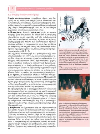 5    ∫√π¡ø¡π∫√¶√π∏™∏ ∫∞π ∫√π¡ø¡π∫√™ ∂§∂°Ã√™


5.2 ºÔÚÂ›˜ ÎÔÈÓˆÓÈÎÔÔ›ËÛË˜
ºÔÚÂ›˜ ÎÔÈÓˆÓÈÎÔÔ›ËÛË˜ ÔÓÔÌ¿˙Ô˘ÌÂ ﬁÏÔ˘˜ ÙÔ˘˜ ıÂ-
ÛÌÔ‡˜ Î·È ÙÈ˜ ÔÌ¿‰Â˜ Ô˘ ÂËÚÂ¿˙Ô˘Ó ÙË ‰È·‰ÈÎ·Û›· ÎÔÈ-
ÓˆÓÈÎÔÔ›ËÛË˜ ÂÓﬁ˜ ·ÙﬁÌÔ˘. ÕÏÏÔÈ ·ﬁ ·˘ÙÔ‡˜ Â›Ó·È Ù˘È-
ÎÔ› (.¯. ÔÈÎÔÁ¤ÓÂÈ·, ÂÎ·›‰Â˘ÛË) Î·È ¿ÏÏÔÈ ¿Ù˘ÔÈ ıÂÛÌÔ›
(.¯. ·Ú¤Â˜ Û˘ÓÔÌËÏ›ÎˆÓ) (‚Ï. ÎÂÊ. 4). √È ‚·ÛÈÎﬁÙÂÚÔÈ
ÊÔÚÂ›˜ Ô˘ ·ÛÎÔ‡Ó ÎÔÈÓˆÓÈÎÔÔ›ËÛË Â›Ó·È:
·. ∏ ÔÈÎÔÁ¤ÓÂÈ·. ∞ÔÙÂÏÂ› ÚˆÙÔÁÂÓ‹ ÊÔÚ¤· ÎÔÈÓˆÓÈÎÔ-
Ô›ËÛË˜, ÁÈ·Ù› ·Ó·Ï·Ì‚¿ÓÂÈ ÙÔ ¿ÙÔÌÔ ·ﬁ ÙË ÛÙÈÁÌ‹ ÙË˜
Á¤ÓÓËÛ‹˜ ÙÔ˘ Î·È ÙÔ ÂËÚÂ¿˙ÂÈ Î·ı’ ﬁÏË ÙË ‰È¿ÚÎÂÈ· ÙË˜
˙ˆ‹˜ ÙÔ˘, ÌÂÙ·Ê¤ÚÔÓÙ¿˜ ÙÔ˘ ·Í›Â˜, ÚﬁÙ˘· Î·È ÙÚﬁÔ˘˜
Û˘ÌÂÚÈÊÔÚ¿˜. ™ÙÔ Ï·›ÛÈÔ ÙˆÓ ÔÈÎÔÁÂÓÂÈ·ÎÒÓ Û¯¤ÛÂˆÓ
ÙÔ ¿ÙÔÌÔ Ì·ı·›ÓÂÈ ÙÈ Â›Ó·È ·Ô‰ÂÎÙﬁ Î·È ÙÈ ﬁ¯È, Ù·˘Ù›˙ÂÙ·È
ÌÂ ·ÓıÚÒÔ˘˜ ÙÔ˘ ÂÚÈ‚¿ÏÏÔÓÙﬁ˜ ÙÔ˘, ·ÔÎÙ¿ ÙËÓ ÈÎ·Óﬁ-
ÙËÙ· Ó· ‰ËÌÈÔ˘ÚÁÂ› Û¯¤ÛÂÈ˜ Î·È, ÙÂÏÈÎ¿, Û˘ÁÎÚÔÙÂ› ÙËÓ ÚÔ-
                                                             ÛÎ›ÙÛÔ 5.2 ™‡Á¯ÚÔÓË ÔÈÎÔÁ¤ÓÂÈ· ™Â Î¿ıÂ ‰˘ÙÈÎﬁ
ÛˆÈÎﬁÙËÙ¿ ÙÔ˘ (‚Ï. 2.1.2)                                   ÓÔÈÎÔÎ˘ÚÈﬁ Û‹ÌÂÚ· ·ÓÙÈÛÙÔÈ¯Ô‡Ó ÂÚÈÛÛﬁÙÂÚÂ˜
™ÙÈ˜ ·ÁÚÔÙÈÎ¤˜ ÎÔÈÓˆÓ›Â˜ (‚Ï. 4.4) Ë ÔÈÎÔÁ¤ÓÂÈ· Â›¯Â ·Ô-    ·ﬁ ÌÈ· ÙËÏÂÔÚ¿ÛÂÈ˜ Î·È ÛÂ Î¿ıÂ ¿ÙÔÌÔ ÂÚÈÛÛﬁ-
ÎÏÂÈÛÙÈÎ¿ Û¯Â‰ﬁÓ ÙËÓ Â˘ı‡ÓË ÙË˜ ÎÔÈÓˆÓÈÎÔÔ›ËÛË˜ ÙˆÓ Ó¤-     ÙÂÚÂ˜ ·ﬁ 10 ÒÚÂ˜ ÙËÏÂı¤·ÛË˜ ÙËÓ Â‚‰ÔÌ¿‰·. ∞˘-
                                                             Ùﬁ ÛËÌ·›ÓÂÈ ﬁÙÈ ·ÎﬁÌ· Î·È Ë ÔÈÎÔÁÂÓÂÈ·Î‹ Û˘ÁÎ¤-
ˆÓ. ™ÙÈ˜ Û‡Á¯ÚÔÓÂ˜ ÎÔÈÓˆÓ›Â˜, ÔÚÈÛÌ¤ÓÂ˜ ·ﬁ ·˘Ù¤˜ ÙÈ˜ ÏÂÈ-   ÓÙÚˆÛË Á‡Úˆ ·ﬁ ÙËÓ ÙËÏÂﬁÚ·ÛË ÛÂ Ï›ÁÔ ı· ·Ô-
ÙÔ˘ÚÁ›Â˜ ·Ó·Ï·Ì‚¿ÓÔ˘Ó ¿ÏÏÔÈ, ÂÍÂÈ‰ÈÎÂ˘Ì¤ÓÔÈ ÊÔÚÂ›˜,          ÙÂÏÂ› ·ÚÂÏıﬁÓ. ∞ÓÙ›ıÂÙ· ÌÂ ÙËÓ ·Ú·‰ÔÛÈ·Î‹ ÔÈ-
ﬁˆ˜ ÔÈ ·È‰ÈÎÔ› ÛÙ·ıÌÔ›, Ù· ÂÎ·È‰Â˘ÙÈÎ¿ È‰Ú‡Ì·Ù·, Î¤-      ÎÔÁ¤ÓÂÈ·, Ù· Ì¤ÏË ÙË˜ Û‡Á¯ÚÔÓË˜ ÔÈÎÔÁ¤ÓÂÈ·˜
                                                             ¤¯Ô˘Ó ÂÏ¿¯ÈÛÙÔ ¯ÚﬁÓÔ ÁÈ· ÌÂÙ·Í‡ ÙÔ˘˜ ÂÈÎÔÈÓˆ-
ÓÙÚ· Î·Ù¿ÚÙÈÛË˜ Î.Ù.Ï. ∞˘Ù‹ Ë ÌÂ›ˆÛË ÙˆÓ ÏÂÈÙÔ˘ÚÁÈÒÓ ÙË˜     Ó›·.
ÔÈÎÔÁ¤ÓÂÈ·˜ ‰Â ÌÂÈÒÓÂÈ ÙË ÛËÌ·Û›· ÙË˜ ˆ˜ ‚·ÛÈÎÔ‡ ÊÔÚ¤·       ✍ ¡· Û˘˙ËÙ‹ÛÂÙÂ ÙÈ˜ Û˘Ó¤ÂÈÂ˜ ·˘ÙÔ‡ ÙÔ˘ Ê·ÈÓﬁ-
ÎÔÈÓˆÓÈÎÔÔ›ËÛË˜, ÂÊﬁÛÔÓ ÛÙÔ Ï·›ÛÈﬁ ÙË˜ ÙÔ ¿ÙÔÌÔ Û˘ÓÂ-      ÌÂÓÔ˘ ÛÙËÓ ÎÔÈÓˆÓÈÎÔÔ›ËÛË ÙˆÓ Ó¤ˆÓ.
¯›˙ÂÈ Ó· ‚ÈÒÓÂÈ ÙÈ˜ ÚÒÙÂ˜ Î·È ÛËÌ·ÓÙÈÎﬁÙÂÚÂ˜ ÂÈ‰Ú¿ÛÂÈ˜.
‚. ∆Ô Û¯ÔÏÂ›Ô. ∏ ÂÎ·›‰Â˘ÛË ·ÔÙÂÏÂ› ¤Ó·Ó ·ﬁ ÙÔ˘˜ ‚·-
ÛÈÎÔ‡˜, Ù˘ÈÎÔ‡˜, ÊÔÚÂ›˜ ÎÔÈÓˆÓÈÎÔÔ›ËÛË˜. ªÂ ÙËÓ Â›ÛÔ‰ﬁ
ÙÔ˘ ÛÙÔ ÂÎ·È‰Â˘ÙÈÎﬁ Û‡ÛÙËÌ·, ÙÔ ·È‰› ÂÁÎ·Ù·ÏÂ›ÂÈ ÁÈ·
ÚÒÙË ÊÔÚ¿ ÙÔ˘˜ ÎﬁÏÔ˘˜ ÙË˜ ÔÈÎÔÁ¤ÓÂÈ·˜, ·Ó·Ï·Ì‚¿ÓÂÈ
Â˘ı‡ÓÂ˜ Î·È «‰ÔÎÈÌ¿˙ÂÈ» Ù· ÚﬁÙ˘· Î·È ÙÈ˜ Û˘ÌÂÚÈÊÔÚ¤˜
Ô˘ ·ÊÔÌÔ›ˆÛÂ ÛÙÔ Ï·›ÛÈÔ ÙË˜ ÔÈÎÔÁ¤ÓÂÈ·˜.
∏ ÂÎ‚ÈÔÌË¯¿ÓÈÛË Î·È Ô ÂÎÛ˘Á¯ÚÔÓÈÛÌﬁ˜ ÙˆÓ ÎÔÈÓˆÓÈÒÓ
¤Î·Ó·Ó ··Ú·›ÙËÙË ÙËÓ ˘Ô¯ÚÂˆÙÈÎ‹ Î·È Ì·ÎÚ¿ ·Ú·ÌÔÓ‹
ÙÔ˘ ·ÙﬁÌÔ˘ ÛÙÔ˘˜ ÂÎ·È‰Â˘ÙÈÎÔ‡˜ ıÂÛÌÔ‡˜ Î·È ·Ó·‚¿ıÌÈ-
Û·Ó ÙÔÓ Î·ıÔÚÈÛÙÈÎﬁ ÚﬁÏÔ ÙÔ˘˜. √È Û‡Á¯ÚÔÓÂ˜ ·Ó¿ÁÎÂ˜
‰È·ÌﬁÚÊˆÛ·Ó ÂÎ·È‰Â˘ÙÈÎÔ‡˜ ıÂÛÌÔ‡˜, ﬁˆ˜ Ë ÂÓÓÈ¿¯ÚÔ-
ÓË ˘Ô¯ÚÂˆÙÈÎ‹ ÂÎ·›‰Â˘ÛË (‚Ï. ÎÂÊ. 12), ÔÈ ÌÂÙ·Ù˘¯È·-
Î¤˜ ÛÔ˘‰¤˜, Ù· Î¤ÓÙÚ· Â·ÁÁÂÏÌ·ÙÈÎ‹˜ Î·Ù¿ÚÙÈÛË˜, Ë ‰È·      ÊˆÙ. 5.4 ¶·Ú¿ÛÙ·ÛË Ì·ıËÙÒÓ ·ﬁ Ì·ıËÙÈÎÔ‡˜
‚›Ô˘ ÂÎ·›‰Â˘ÛË.                                             ‰È·ÁˆÓÈÛÌÔ‡˜ ÙÔ˘ ÀÔ˘ÚÁÂ›Ô˘ ∂ıÓÈÎ‹˜ ¶·È‰Â›·˜.
                                                             ∏ Û‡Á¯ÚÔÓË ¶ÔÏÈÙÂ›· ¤¯ÂÈ ÙËÓ ·ÔÎÏÂÈÛÙÈÎ‹ Â˘-
Á. ∏ ıÚËÛÎÂ›·. ∆· ıÚËÛÎÂ˘ÙÈÎ¿ ‹ıË Î·È ¤ıÈÌ· ·ÔÙÂÏÔ‡Ó        ı‡ÓË ÙË˜ ÂÎ·›‰Â˘ÛË˜ ÙˆÓ Ó¤ˆÓ. ™ÙÔ Ï·›ÛÈÔ ÙË˜
¤Ó· ·ﬁ Ù· ÛÙÔÈ¯Â›· ÙÔ˘ ÔÏÈÙÈÛÌÔ‡ Î¿ıÂ ÎÔÈÓˆÓ›·˜. ¶ÂÚÈ-     ÎÔÈÓˆÓÈÎÔÔ›ËÛË˜, Ó¤· ÚÔÁÚ¿ÌÌ·Ù· ÂÈÛ¿ÁÔÓÙ·È
Ï·Ì‚¿ÓÔ˘Ó ·Í›Â˜ Î·È ÚﬁÙ˘· Û˘ÌÂÚÈÊÔÚ¿˜ Ô˘ ÂËÚÂ¿-         ÛÙ· Û¯ÔÏÂ›·, ﬁˆ˜ ÚÔÁÚ¿ÌÌ·Ù· ÔÏÈÙÈÛÌÔ‡,
˙Ô˘Ó ÙÔ˘˜ ÎÔÈÓˆÓÈÎÔ‡˜ Î·ÓﬁÓÂ˜, ¿Ú· Î·È ÙÔ ÂÚÈÂ¯ﬁÌÂÓÔ        ·ÁˆÁ‹˜ ˘ÁÂ›·˜, ÂÚÈ‚¿ÏÏÔÓÙÔ˜, Î·Ù·Ó·ÏˆÙ‹, Î·Ï-
                                                             ÏÈÙÂ¯ÓÈÎÔ› Ì·ıËÙÈÎÔ› ‰È·ÁˆÓÈÛÌÔ› Î.¿.
ÙË˜ ÎÔÈÓˆÓÈÎÔÔ›ËÛË˜. ∏ ıÚËÛÎÂ›· ÂÈ‰Ú¿ ÛÙÔÓ ÙÚﬁÔ Ô˘       ✍ ¡· Û˘˙ËÙ‹ÛÂÙÂ ÁÈ· Ù· ÚÔÁÚ¿ÌÌ·Ù· ·˘Ù¿ ÛÙËÓ
ÙÔ ¿ÙÔÌÔ ‚Ï¤ÂÈ ÙÔÓ ÎﬁÛÌÔ Î·È ÙË ˙ˆ‹ (ÛÙËÓ ÎÔÛÌÔıÂˆÚ›·       Ù¿ÍË Î·È Ó· ÔÚÁ·ÓÒÛÂÙÂ Î·È ÙË Û˘ÌÌÂÙÔ¯‹ ÙÔ˘ ‰È-
ÙÔ˘). ∏ ·ÓÙÈÌÂÙÒÈÛË ÔÏÏÒÓ ıÂÌ¿ÙˆÓ, ·ﬁ Ù· ÈÔ Î·ıË-        ÎÔ‡ Û·˜ Û¯ÔÏÂ›Ô˘.
ÌÂÚÈÓ¿, ﬁˆ˜ Ë ‰È·ÙÚÔÊ‹ Î·È Ë ÂÓ‰˘Ì·Û›·, Ì¤¯ÚÈ Ù· ÈÔ Ô-
Ï‡ÏÔÎ· ˙ËÙ‹Ì·Ù· ÙË˜ ÎÔÈÓˆÓÈÎ‹˜ ÔÚÁ¿ÓˆÛË˜ ÂËÚÂ¿˙Ô-
40
 