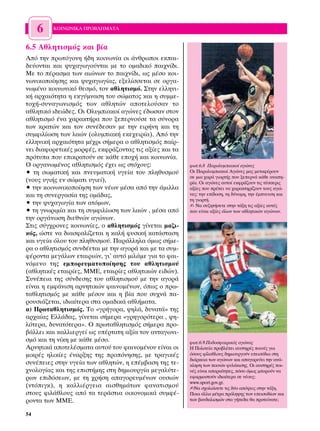 6   ∫√π¡ø¡π∫∞ ¶ƒ√µ§∏ª∞∆∞


6.5 ∞ıÏËÙÈÛÌﬁ˜ Î·È ‚›·
∞ﬁ ÙËÓ ÚˆÙﬁÁÔÓË ‹‰Ë ÎÔÈÓˆÓ›· ÔÈ ¿ÓıÚˆÔÈ ÂÎ·È-
‰Â‡ÔÓÙ·È Î·È „˘¯·ÁˆÁÔ‡ÓÙ·È ÌÂ ÙÔ ÔÌ·‰ÈÎﬁ ·È¯Ó›‰È.
ªÂ ÙÔ ¤Ú·ÛÌ· ÙˆÓ ·ÈÒÓˆÓ ÙÔ ·È¯Ó›‰È, ˆ˜ Ì¤ÛÔ ÎÔÈ-
ÓˆÓÈÎÔÔ›ËÛË˜ Î·È „˘¯·ÁˆÁ›·˜, ÂÍÂÏ›ÛÛÂÙ·È ÛÂ ÔÚÁ·-
ÓˆÌ¤ÓÔ ÎÔÈÓˆÓÈÎﬁ ıÂÛÌﬁ, ÙÔÓ ·ıÏËÙÈÛÌﬁ. ™ÙËÓ ÂÏÏËÓÈ-
Î‹ ·Ú¯·ÈﬁÙËÙ· Ë ÂÎÁ‡ÌÓ·ÛË ÙÔ˘ ÛÒÌ·ÙÔ˜ Î·È Ë Û˘ÌÌÂ-
ÙÔ¯‹-Û˘Ó·ÁˆÓÈÛÌﬁ˜ ÙˆÓ ·ıÏËÙÒÓ ·ÔÙÂÏÔ‡Û·Ó ÙÔ
·ıÏËÙÈÎﬁ È‰ÂÒ‰Â˜. √È √Ï˘ÌÈ·ÎÔ› ·ÁÒÓÂ˜ ¤‰ˆÛ·Ó ÛÙÔÓ
·ıÏËÙÈÛÌﬁ ¤Ó· ¯·Ú·ÎÙ‹Ú· Ô˘ ÍÂÂÚÓÔ‡ÛÂ Ù· Û‡ÓÔÚ·
ÙˆÓ ÎÚ·ÙÒÓ Î·È ÙÔÓ Û˘Ó¤‰ÂÛ·Ó ÌÂ ÙËÓ ÂÈÚ‹ÓË Î·È ÙË
Û˘ÌÊÈÏ›ˆÛË ÙˆÓ Ï·ÒÓ (ÔÏ˘ÌÈ·Î‹ ÂÎÂ¯ÂÈÚ›·). ∞ﬁ ÙËÓ
ÂÏÏËÓÈÎ‹ ·Ú¯·ÈﬁÙËÙ· Ì¤¯ÚÈ Û‹ÌÂÚ· Ô ·ıÏËÙÈÛÌﬁ˜ ·›Ú-
ÓÂÈ ‰È·ÊÔÚÂÙÈÎ¤˜ ÌÔÚÊ¤˜, ÂÎÊÚ¿˙ÔÓÙ·˜ ÙÈ˜ ·Í›Â˜ Î·È Ù·
ÚﬁÙ˘· Ô˘ ÂÈÎÚ·ÙÔ‡Ó ÛÂ Î¿ıÂ ÂÔ¯‹ Î·È ÎÔÈÓˆÓ›·.
√ ÔÚÁ·ÓˆÌ¤ÓÔ˜ ·ıÏËÙÈÛÌﬁ˜ ¤¯ÂÈ ˆ˜ ÛÙﬁ¯Ô˘˜:               ÊˆÙ.6.8 ¶·ÚÔÏ˘ÌÈ·ÎÔ› ·ÁÒÓÂ˜
ñ ÙË ÛˆÌ·ÙÈÎ‹ Î·È ÓÂ˘Ì·ÙÈÎ‹ ˘ÁÂ›· ÙÔ˘ ÏËı˘ÛÌÔ‡        √È ¶·ÚÔÏ˘ÌÈ·ÎÔ› ∞ÁÒÓÂ˜ Ì·˜ ÌÂÙ·Ê¤ÚÔ˘Ó
                                                        ÛÂ ÌÈ· ¯·Ú¿ ÁÈÔÚÙ‹˜ Ô˘ ÍÂÂÚÓ¿ Î¿ıÂ ·Ó·Ë-
(ÓÔ˘˜ ˘ÁÈ‹˜ ÂÓ ÛÒÌ·ÙÈ ˘ÁÈÂ›),                           Ú›·. √È ·ÁÒÓÂ˜ ·˘ÙÔ› ÂÎÊÚ¿˙Ô˘Ó ÙÈ˜ Ù¤ÛÛÂÚÈ˜
ñ ÙËÓ ÎÔÈÓˆÓÈÎÔÔ›ËÛË ÙˆÓ Ó¤ˆÓ Ì¤Û· ·ﬁ ÙËÓ ¿ÌÈÏÏ·      ·Í›Â˜ Ô˘ Ú¤ÂÈ Ó· ¯·Ú·ÎÙËÚ›˙Ô˘Ó ÙÔ˘˜ ·ÁÒ-
Î·È ÙË Û˘ÓÂÚÁ·Û›· ÙË˜ ÔÌ¿‰·˜,                           ÓÂ˜: ÙËÓ Â›‰ÔÛË, ÙË ‰‡Ó·ÌË, ÙËÓ ¤ÌÓÂ˘ÛË Î·È
                                                        ÙË ÁÈÔÚÙ‹.
ñ ÙËÓ „˘¯·ÁˆÁ›· ÙˆÓ ·ÙﬁÌˆÓ,                             ✍ ¡· Û˘˙ËÙ‹ÛÂÙÂ ÛÙËÓ Ù¿ÍË ÙÈ˜ ·Í›Â˜ ·˘Ù¤˜
ñ ÙË ÁÓˆÚÈÌ›· Î·È ÙË Û˘ÌÊÈÏ›ˆÛË ÙˆÓ Ï·ÒÓ , Ì¤Û· ·ﬁ     Ô˘ Â›Ó·È ·Í›Â˜ ﬁÏˆÓ ÙˆÓ ·ıÏËÙÈÎÒÓ ·ÁÒÓˆÓ.
ÙËÓ ÔÚÁ¿ÓˆÛË ‰ÈÂıÓÒÓ ·ÁÒÓˆÓ.
™ÙÈ˜ Û‡Á¯ÚÔÓÂ˜ ÎÔÈÓˆÓ›Â˜, Ô ·ıÏËÙÈÛÌﬁ˜ Á›ÓÂÙ·È Ì·˙È-
Îﬁ˜, ÒÛÙÂ Ó· ‰È·ÛÊ·Ï›˙ÂÙ·È Ë Î·Ï‹ Ê˘ÛÈÎ‹ Î·Ù¿ÛÙ·ÛË
Î·È ˘ÁÂ›· ﬁÏÔ˘ ÙÔ˘ ÏËı˘ÛÌÔ‡. ¶·Ú¿ÏÏËÏ· ﬁÌˆ˜ Û‹ÌÂ-
Ú· Ô ·ıÏËÙÈÛÌﬁ˜ Û˘Ó‰¤ÂÙ·È ÌÂ ÙËÓ ·ÁÔÚ¿ Î·È ÌÂ Ù· Û˘Ì-
Ê¤ÚÔÓÙ· ÌÂÁ¿ÏˆÓ ÂÙ·ÈÚÈÒÓ, ÁÈ’ ·˘Ùﬁ ÌÈÏ¿ÌÂ ÁÈ· ÙÔ Ê·È-
ÓﬁÌÂÓÔ ÙË˜ ÂÌÔÚÂ˘Ì·ÙÔÔ›ËÛË˜ ÙÔ˘ ·ıÏËÙÈÛÌÔ‡
(·ıÏËÙÈÎ¤˜ ÂÙ·ÈÚ›Â˜, ªª∂, ÂÙ·ÈÚ›Â˜ ·ıÏËÙÈÎÒÓ ÂÈ‰ÒÓ).
™˘Ó¤ÂÈ· ÙË˜ Û‡Ó‰ÂÛË˜ ÙÔ˘ ·ıÏËÙÈÛÌÔ‡ ÌÂ ÙËÓ ·ÁÔÚ¿
Â›Ó·È Ë ÂÌÊ¿ÓÈÛË ·ÚÓËÙÈÎÒÓ Ê·ÈÓÔÌ¤ÓˆÓ, ﬁˆ˜ Ô Úˆ-
Ù·ıÏËÙÈÛÌﬁ˜ ÌÂ Î¿ıÂ Ì¤ÛÔÓ Î·È Ë ‚›· Ô˘ Û˘¯Ó¿ ·-
ÚÔ˘ÛÈ¿˙ÂÙ·È, È‰È·›ÙÂÚ· ÛÙ· ÔÌ·‰ÈÎ¿ ·ıÏ‹Ì·Ù·.
·) ¶ÚˆÙ·ıÏËÙÈÛÌﬁ˜. ∆Ô «ÁÚ‹ÁÔÚ·, „ËÏ¿, ‰˘Ó·Ù¿» ÙË˜
·Ú¯·›·˜ ∂ÏÏ¿‰·˜, Á›ÓÂÙ·È Û‹ÌÂÚ· «ÁÚËÁÔÚﬁÙÂÚ· , „Ë-
ÏﬁÙÂÚ·, ‰˘Ó·ÙﬁÙÂÚ·». √ ÚˆÙ·ıÏËÙÈÛÌﬁ˜ Û‹ÌÂÚ· ÚÔ-
‚¿ÏÏÂÈ Î·È Î·ÏÏÈÂÚÁÂ› ˆ˜ ˘¤ÚÙ·ÙË ·Í›· ÙÔÓ ·ÓÙ·ÁˆÓÈ-
ÛÌﬁ Î·È ÙË Ó›ÎË ÌÂ Î¿ıÂ Ì¤ÛÔ.                           ÊˆÙ.6.9.¶Ô‰ÔÛÊ·ÈÚÈÎﬁ˜ ·ÁÒÓ·˜
∞ÚÓËÙÈÎ¿ ·ÔÙÂÏ¤ÛÌ·Ù· ·˘ÙÔ‡ ÙÔ˘ Ê·ÈÓÔÌ¤ÓÔ˘ Â›Ó·È ÔÈ     ∏ ¶ÔÏÈÙÂ›· ÚÔ‚Ï¤ÂÈ ·˘ÛÙËÚ¤˜ ÔÈÓ¤˜ ÁÈ·
ÌÈÎÚ¤˜ ËÏÈÎ›Â˜ ¤Ó·ÚÍË˜ ÙË˜ ÚÔﬁÓËÛË˜, ÌÂ ÙÚ·ÁÈÎ¤˜      ﬁÛÔ˘˜ Ê›Ï·ıÏÔ˘˜ ‰ËÌÈÔ˘ÚÁÔ‡Ó ÂÂÈÛﬁ‰È· ÛÙË
                                                        ‰È¿ÚÎÂÈ· ÙˆÓ ·ÁÒÓˆÓ Î·È ··ÁÔÚÂ‡ÂÈ ÙËÓ ·Ó¿-
Û˘Ó¤ÂÈÂ˜ ÛÙËÓ ˘ÁÂ›· ÙˆÓ ·ıÏËÙÒÓ, Ë Â¤Ì‚·ÛË ÙË˜ ÙÂ-    ÎÏËÛË ÙˆÓ ÔÈÓÒÓ Ê˘Ï¿ÎÈÛË˜. √È ·˘ÛÙËÚ¤˜ ÔÈ-
¯ÓÔÏÔÁ›·˜ Î·È ÙË˜ ÂÈÛÙ‹ÌË˜ ÛÙË ‰ËÌÈÔ˘ÚÁ›· ÌÂÁ·Ï‡ÙÂ-    Ó¤˜ Â›Ó·È ··Ú·›ÙËÙÂ˜, ﬁÛÔ ﬁÌˆ˜ ÌÔÚÔ‡Ó Ó·
ÚˆÓ ÂÈ‰ﬁÛÂˆÓ, ÌÂ ÙË ¯Ú‹ÛË ··ÁÔÚÂ˘Ì¤ÓˆÓ Ô˘ÛÈÒÓ         ÂÊ·ÚÌÔÛÙÔ‡Ó È‰È·›ÙÂÚ· ÛÂ Ó¤Ô˘˜;
                                                        www.sport.gov.gr.
(ÓÙﬁÈÁÎ), Ë Î·ÏÏÈ¤ÚÁÂÈ· ·ÈÛıËÌ¿ÙˆÓ Ê·Ó·ÙÈÛÌÔ‡          ✍¡· Û¯ÔÏÈ¿ÛÂÙÂ ÙÈ˜ ‰‡Ô ·ﬁ„ÂÈ˜ ÛÙËÓ Ù¿ÍË.
ÛÙÔ˘˜ ÊÈÏ¿ıÏÔ˘˜ ·ﬁ Ù· ÙÂÚ¿ÛÙÈ· ÔÈÎÔÓÔÌÈÎ¿ Û˘ÌÊ¤-       ¶ÔÈ· ¿ÏÏ· Ì¤ÙÚ· ÚﬁÏË„Ë˜ ÙˆÓ ÂÂÈÛÔ‰›ˆÓ Î·È
ÚÔÓÙ· ÙˆÓ ªª∂.                                          ÙˆÓ ‚·Ó‰·ÏÈÛÌÒÓ ÛÙ· Á‹Â‰· ı· ÚÔÙÂ›Ó·ÙÂ;


54
 