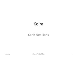 Koira

             Canis familiaris




13.10.2011                      1
 