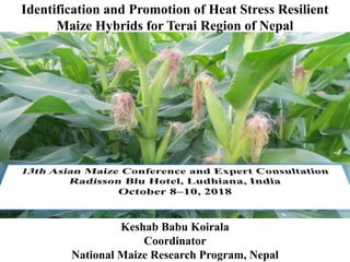 Keshab Babu Koirala
Coordinator
National Maize Research Program, Nepal
Identification and Promotion of Heat Stress Resilient
Maize Hybrids for Terai Region of Nepal
 