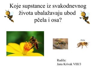 Koje supstance iz svakodnevnog
života ubalažavaju ubod
pčela i osa?

Radila:
Jana Krivak VIII/3

 