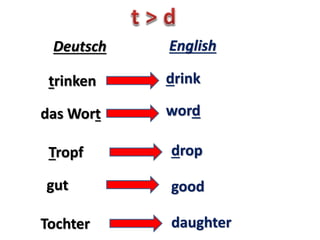 das Bad bath
Deutsch English
das that
Danke thank
dein
du
Bruder
 