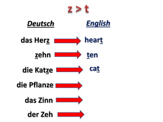 das Herz heart
Deutsch English
zehn ten
die Katze cat
die Pflanze plant
das Zinn tin
der Zeh toe
 