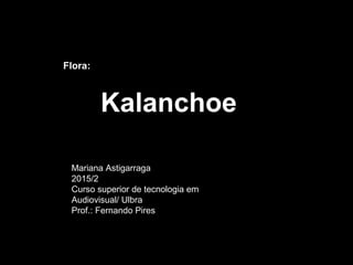 Flora:
Kalanchoe
Mariana Astigarraga
2015/2
Curso superior de tecnologia em
Audiovisual/ Ulbra
Prof.: Fernando Pires
 