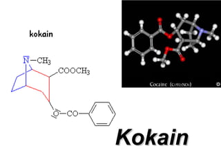 KokainKokain
 