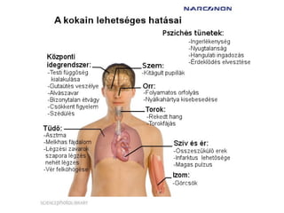 Kokain