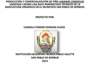 PRODUCCIÓN Y COMERCIALIZACIÓN DE PIÑA (ANANÁS COMOSUS) 
VARIEDAD CAYENA LISA BAJO PARÁMETROS TÉCNICOS DE LA 
AGRICULTURA ORGÁNICA EN EL MUNICIPIO SAN PABLO DE BORBUR. 
PROYECTO POR: 
CANDELA FORERO EDINSON ALEXIS 
INSTITUCIÓN EDUCATIVA TÉCNICA PABLO VALETTE 
SAN PABLO DE BORBUR 
2013 
 