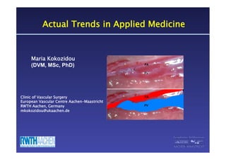 Maria Kokozidou
(DVM, MSc, PhD)
Actual Trends in Applied Medicine
Clinic of Vascular Surgery
European Vascular Centre Aachen-Maastricht
RWTH Aachen, Germany
mkokozidou@ukaachen.de
 