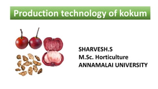 SHARVESH.S
M.Sc. Horticulture
ANNAMALAI UNIVERSITY
Production technology of kokum
 