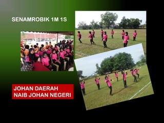 SENAMROBIK 1M 1S

JOHAN DAERAH
NAIB JOHAN NEGERI

 