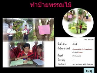 ทำป้ายพรรณไม้ เมนู 
