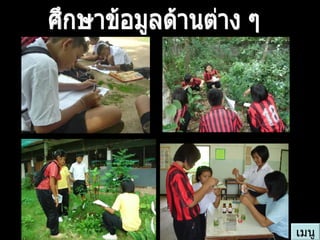 ศึกษาข้อมูลด้านต่าง ๆ เมนู 