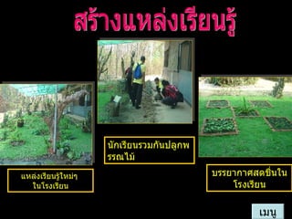 แหล่งเรียนรู้ใหม่ๆ  ในโรงเรียน นักเรียนรวมกันปลูกพรรณไม้ บรรยากาศสดชื่นในโรงเรียน สร้างแหล่งเรียนรู้ เมนู 