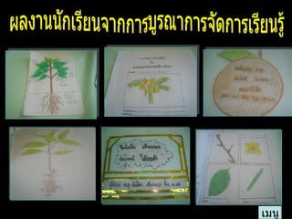 เมนู ผลงานนักเรียนจากการบูรณาการจัดการเรียนรู้ 