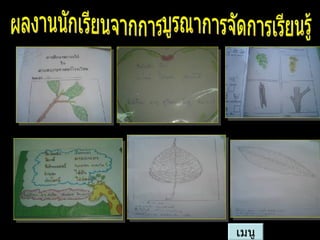 ผลงานนักเรียนจากการบูรณาการจัดการเรียนรู้ เมนู 