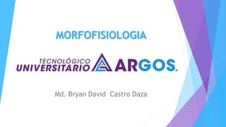 MORFOFISIOLOGIA
Md. Bryan David Castro Daza
 