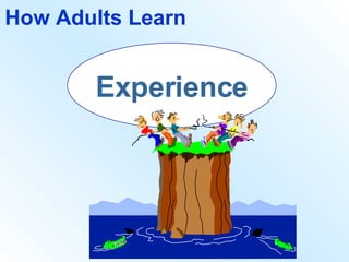How Adults Learn Experience 